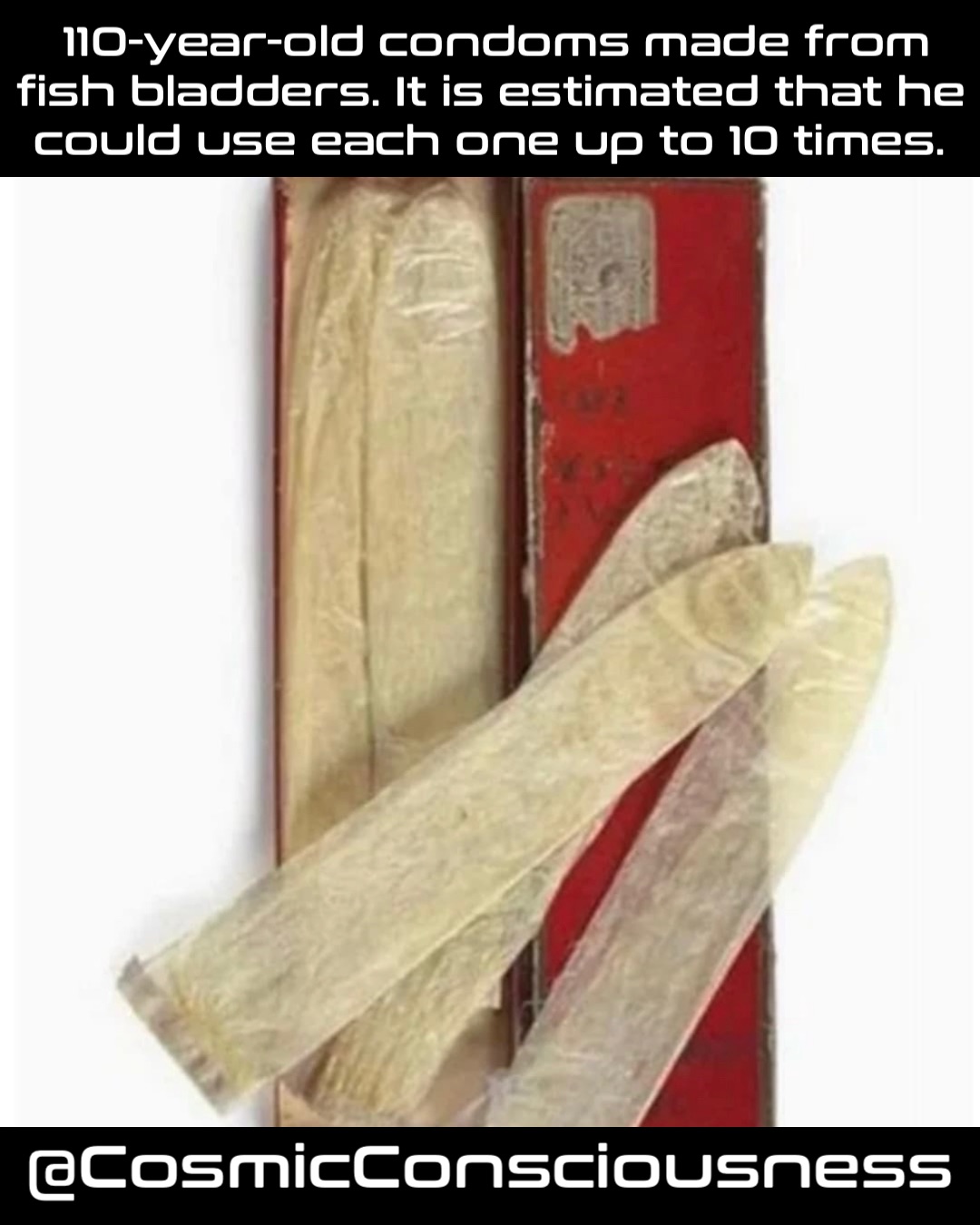 110-year-old condoms made from fish bladders. It is estimated that he could use each one up to 10 times. @CosmicConsciousness