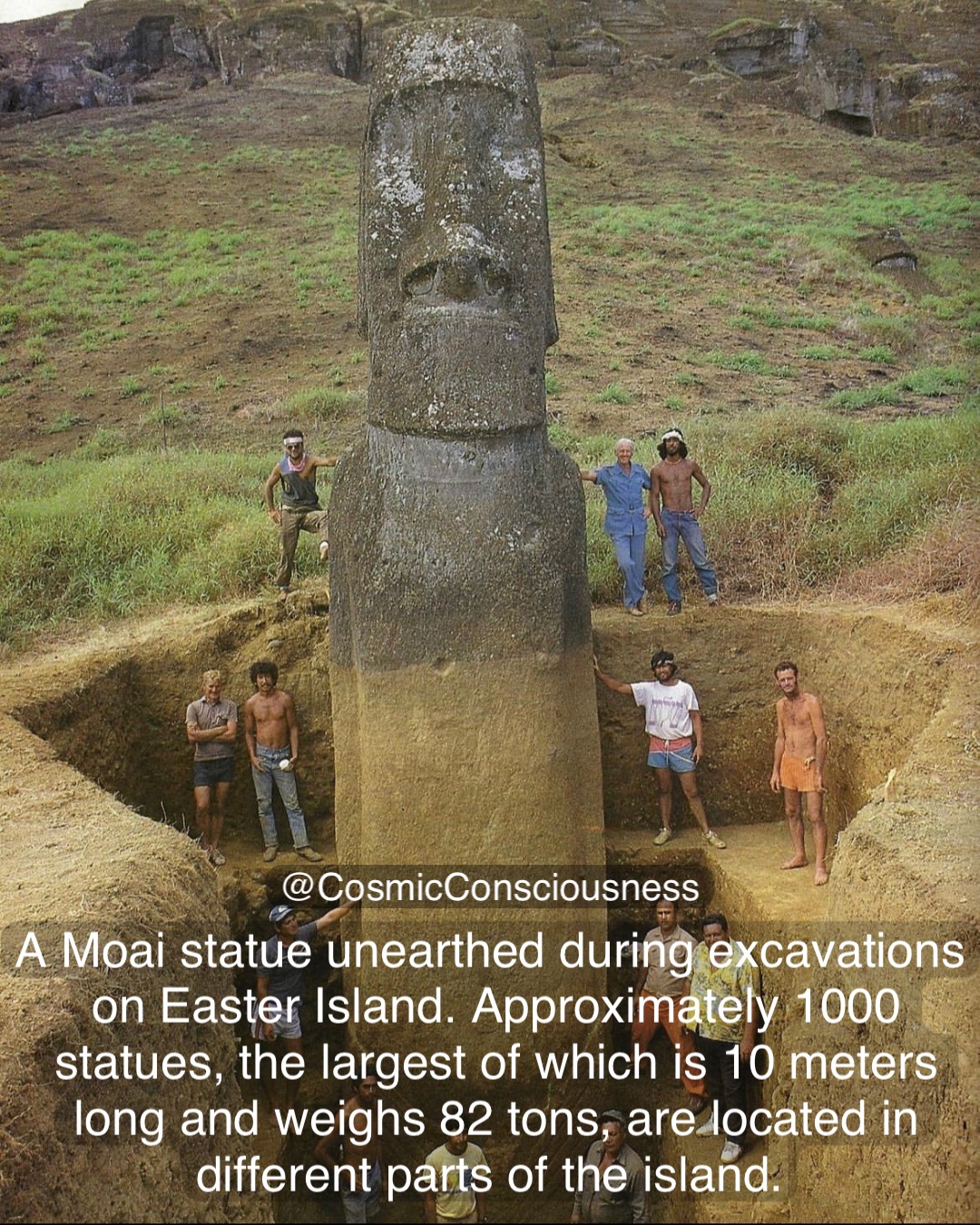 A Moai statue unearthed during excavations on Easter Island. Approximately 1000 statues, the largest of which is 10 meters long and weighs 82 tons, are located in different parts of the island. @CosmicConsciousness