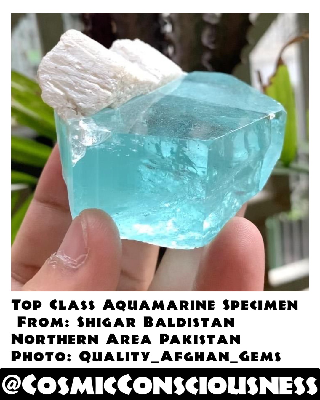 Top Class Aquamarine Specimen
 From: Shigar Baldistan Northern Area Pakistan
Photo: Quality_Afghan_Gems @CosmicConsciousness