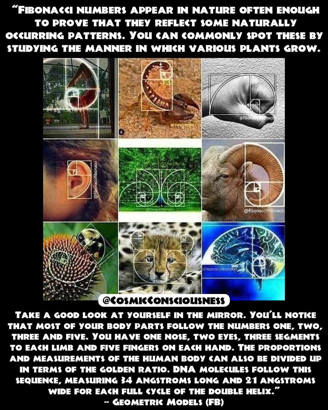 Meme by derekzane1981