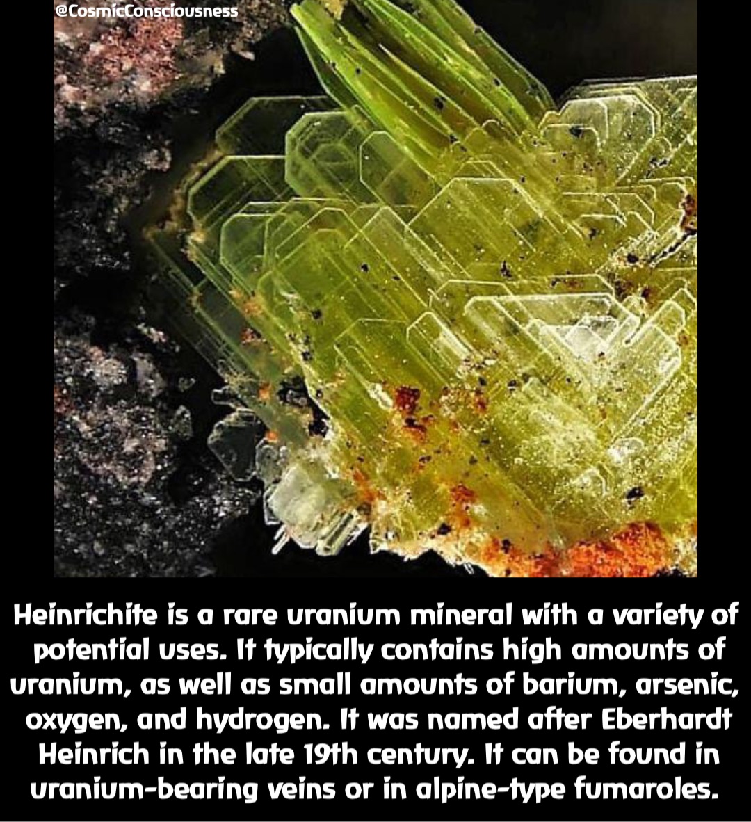 Heinrichite is a rare uranium mineral with a variety of potential uses. It typically contains high amounts of uranium, as well as small amounts of barium, arsenic, oxygen, and hydrogen. It was named after Eberhardt Heinrich in the late 19th century. It can be found in uranium-bearing veins or in alpine-type fumaroles. @CosmicConsciousness