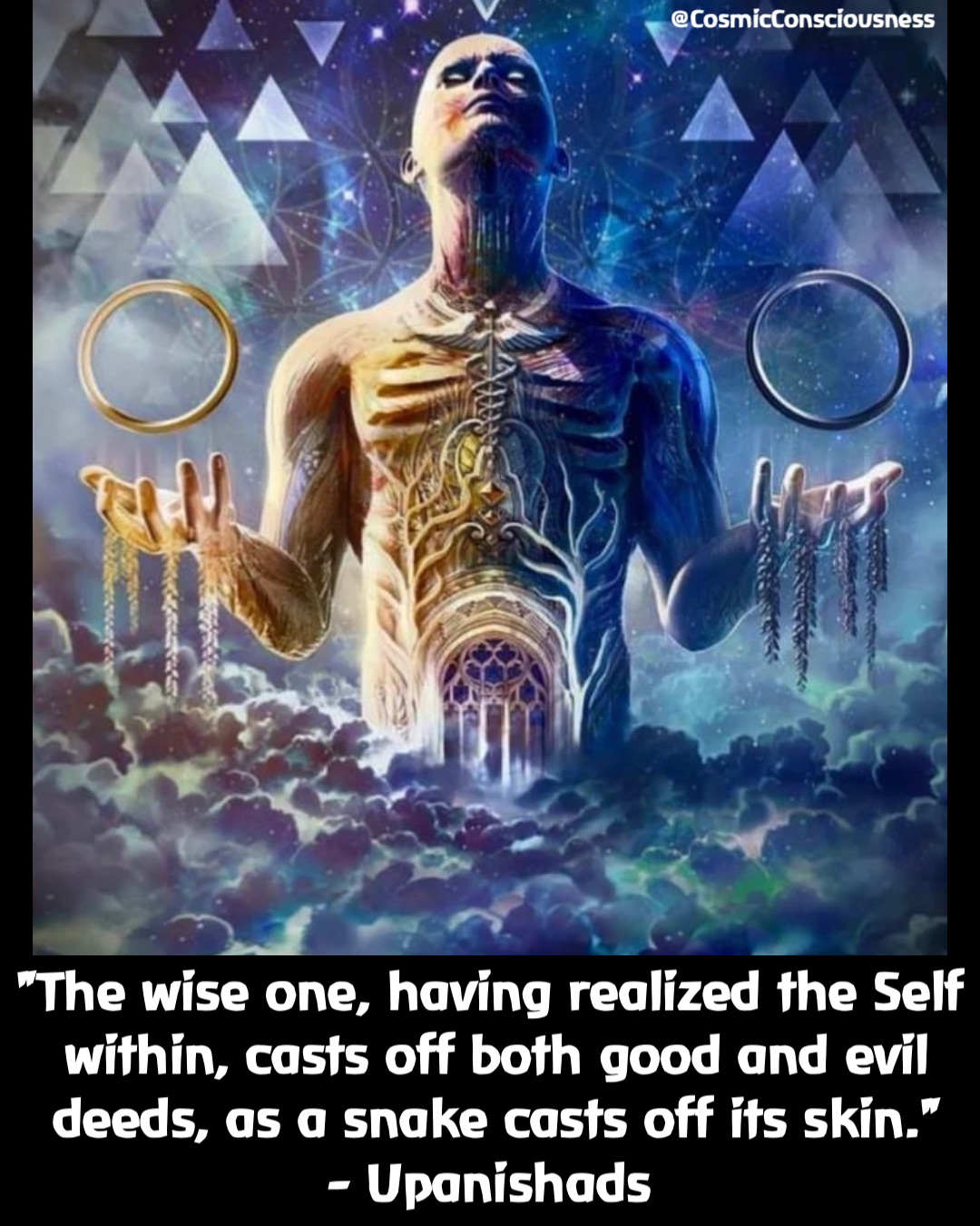 "The wise one, having realized the Self within, casts off both good and evil deeds, as a snake casts off its skin." 
- Upanishads @CosmicConsciousness