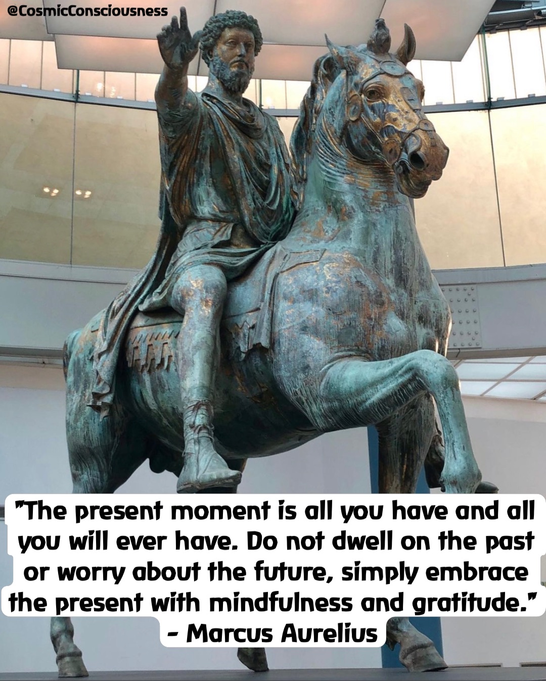"The present moment is all you have and all you will ever have. Do not dwell on the past or worry about the future, simply embrace the present with mindfulness and gratitude." 
- Marcus Aurelius @CosmicConsciousness