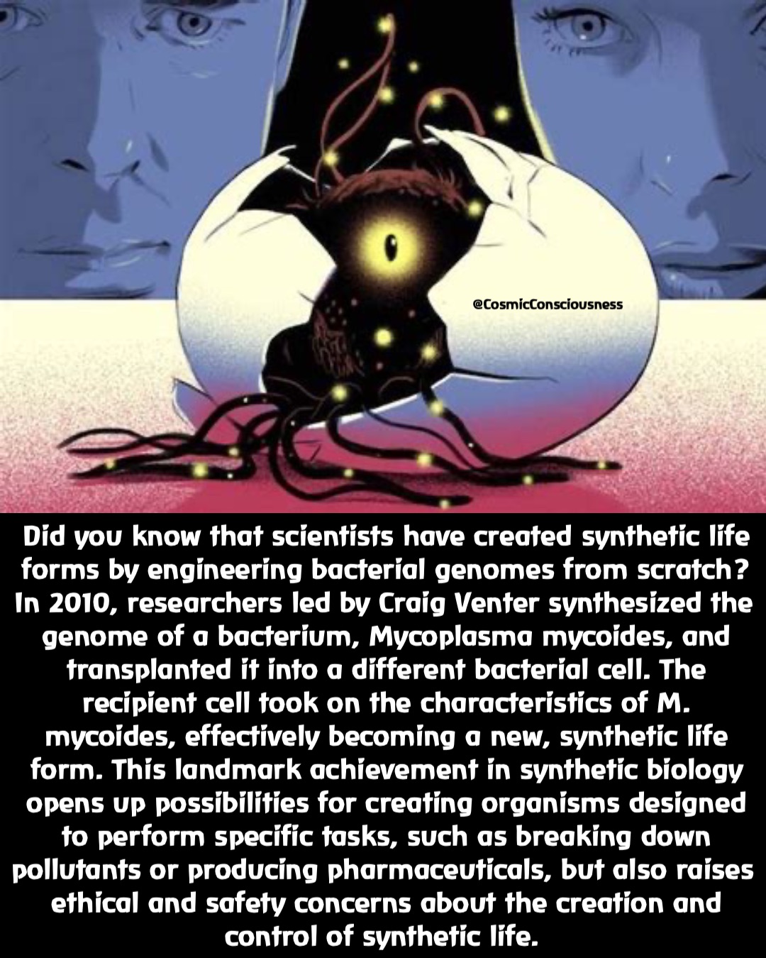 Did you know that scientists have created synthetic life forms by engineering bacterial genomes from scratch? In 2010, researchers led by Craig Venter synthesized the genome of a bacterium, Mycoplasma mycoides, and transplanted it into a different bacterial cell. The recipient cell took on the characteristics of M. mycoides, effectively becoming a new, synthetic life form. This landmark achievement in synthetic biology opens up possibilities for creating organisms designed to perform specific tasks, such as breaking down pollutants or producing pharmaceuticals, but also raises ethical and safety concerns about the creation and control of synthetic life. @CosmicConsciousness