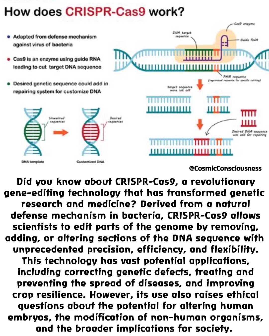 Did you know about CRISPR-Cas9, a revolutionary gene-editing technology that has transformed genetic research and medicine? Derived from a natural defense mechanism in bacteria, CRISPR-Cas9 allows scientists to edit parts of the genome by removing, adding, or altering sections of the DNA sequence with unprecedented precision, efficiency, and flexibility. This technology has vast potential applications, including correcting genetic defects, treating and preventing the spread of diseases, and improving crop resilience. However, its use also raises ethical questions about the potential for altering human embryos, the modification of non-human organisms, and the broader implications for society. @CosmicConsciousness