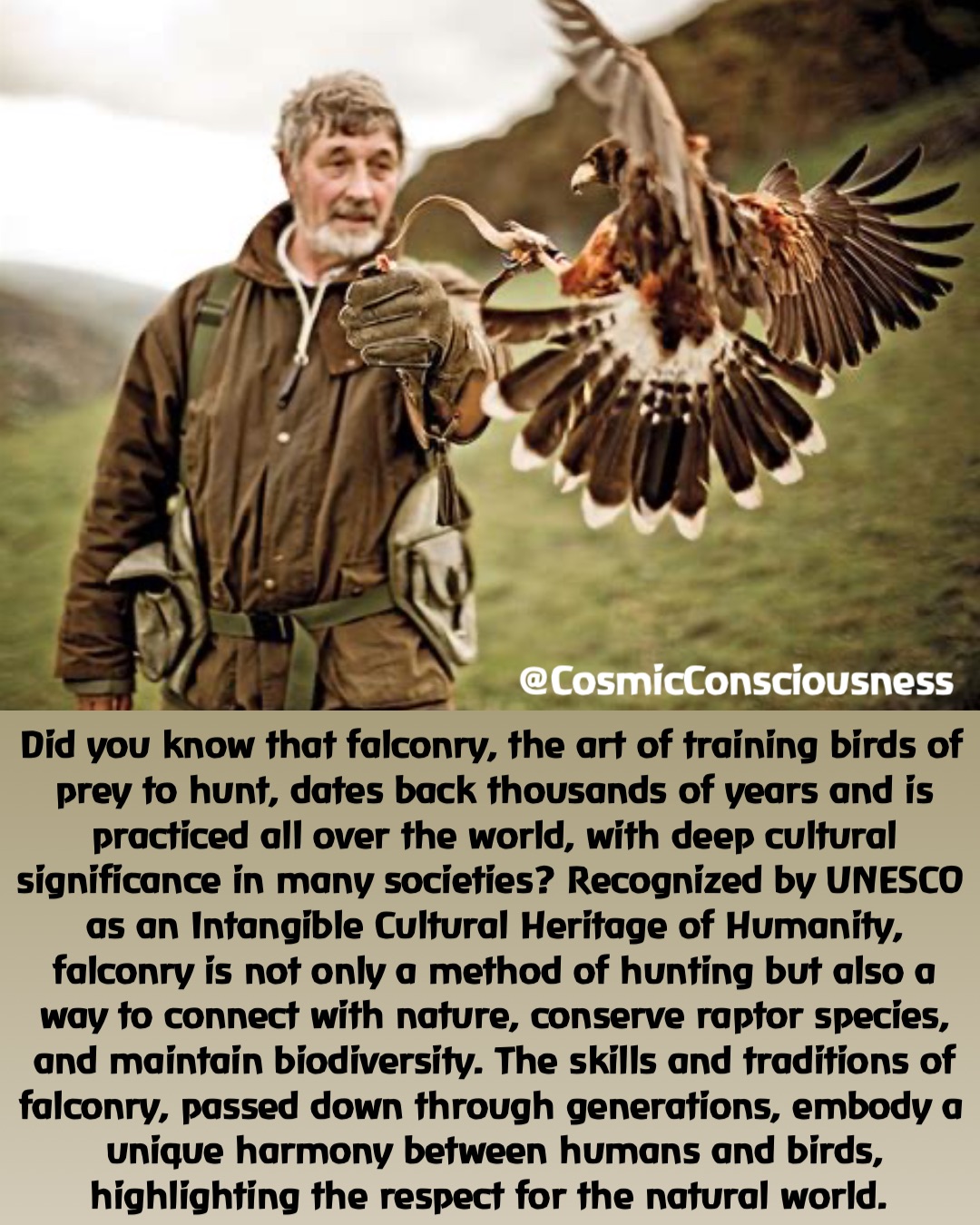 Did you know that falconry, the art of training birds of prey to hunt, dates back thousands of years and is practiced all over the world, with deep cultural significance in many societies? Recognized by UNESCO as an Intangible Cultural Heritage of Humanity, falconry is not only a method of hunting but also a way to connect with nature, conserve raptor species, and maintain biodiversity. The skills and traditions of falconry, passed down through generations, embody a unique harmony between humans and birds, highlighting the respect for the natural world. @CosmicConsciousness