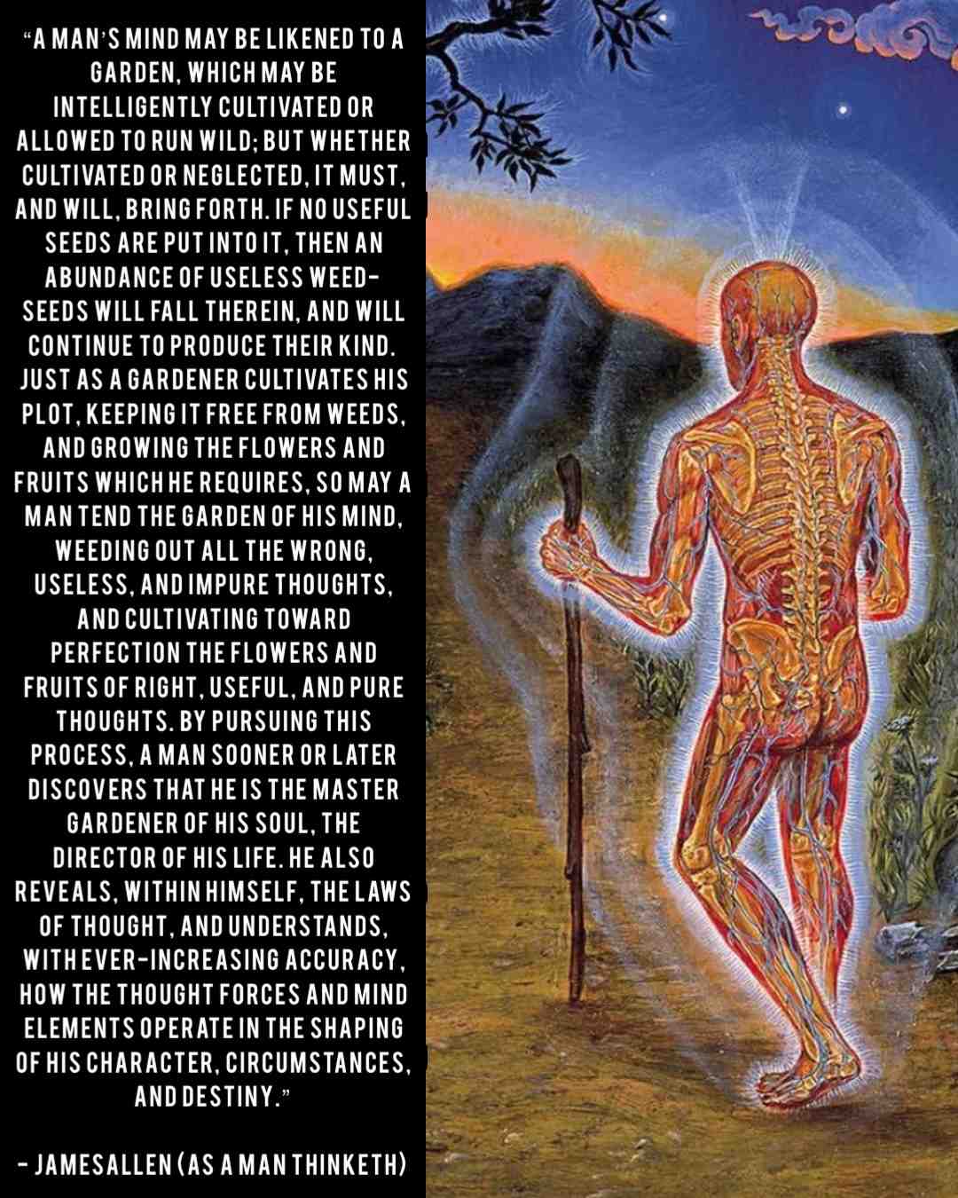 #positivevibes #inspirationalquotes #synchronicity #positivity #starseeds #ascension #raiseyourvibration #spiritualjourney #higherself #spiritualgrowth #selfawareness #higherconsciousness #thirdeye #enlightenment #spiritualawakening #quotesaboutlife #quotesdaily #newearth #positivequotes #motivational #spirituality #spiritual #wisdom #lifequotes #mindfulness #goodvibes #memes #lightworker #thegreatawakening