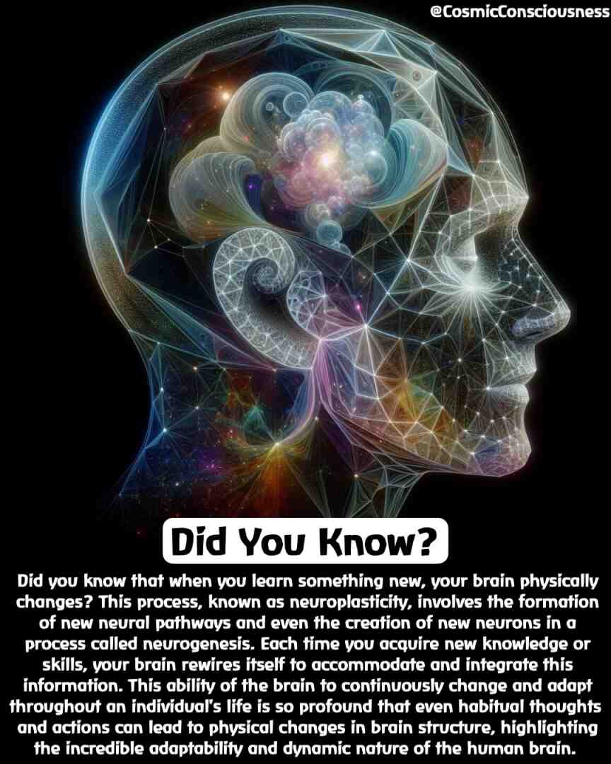 #didyouknow #facts #fact #knowledge #factsdaily #didyouknowfacts #dailyfacts #amazingfacts #knowledgeispower #factz #funfacts #interestingfacts #generalknowledge #instafacts #truefacts #science #factsoflife #doyouknow #sciencefacts #realfacts #allfacts #india #instagram #coolfacts #factoftheday #gk #worldfacts #education #factsonly #love
