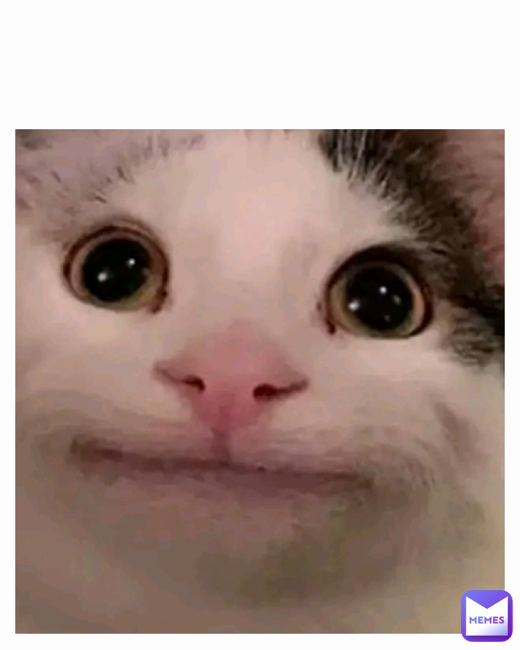 Type Text