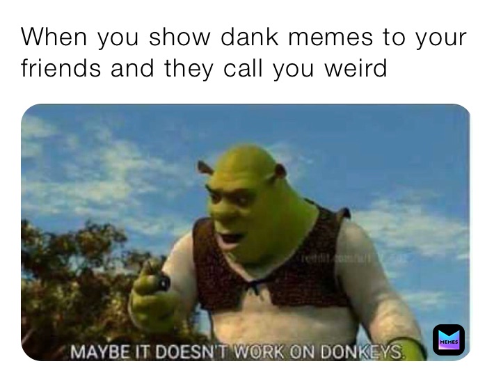 When you show dank memes to your friends and they call you weird ...