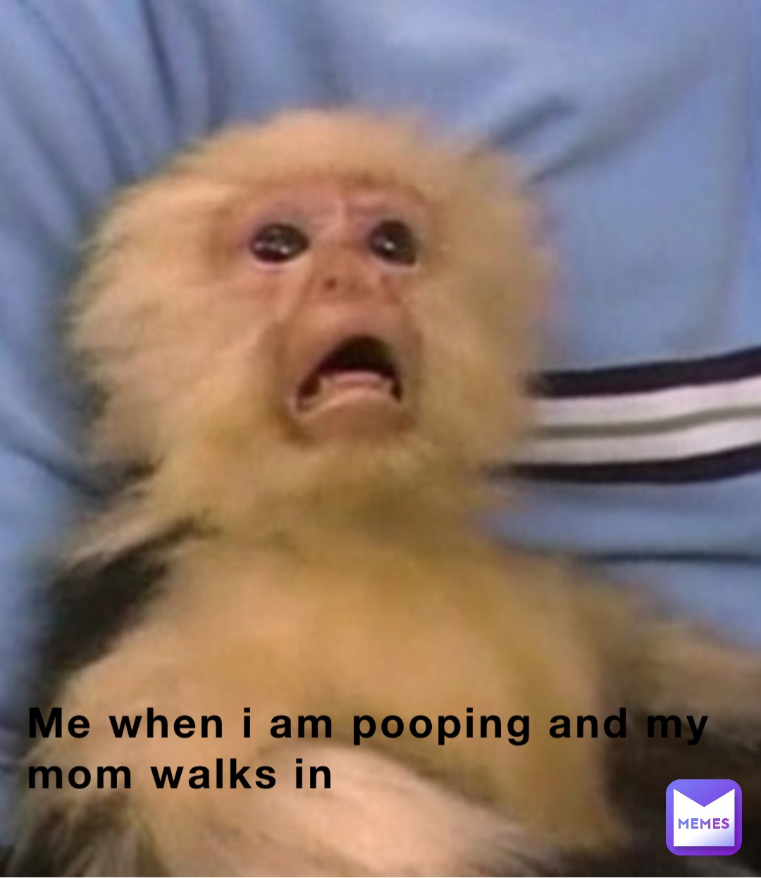 Me when i am pooping and my mom walks in