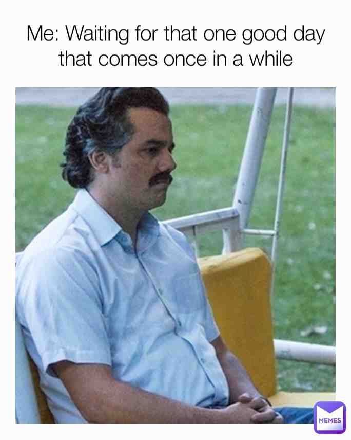 Meme shared by @BogFrog