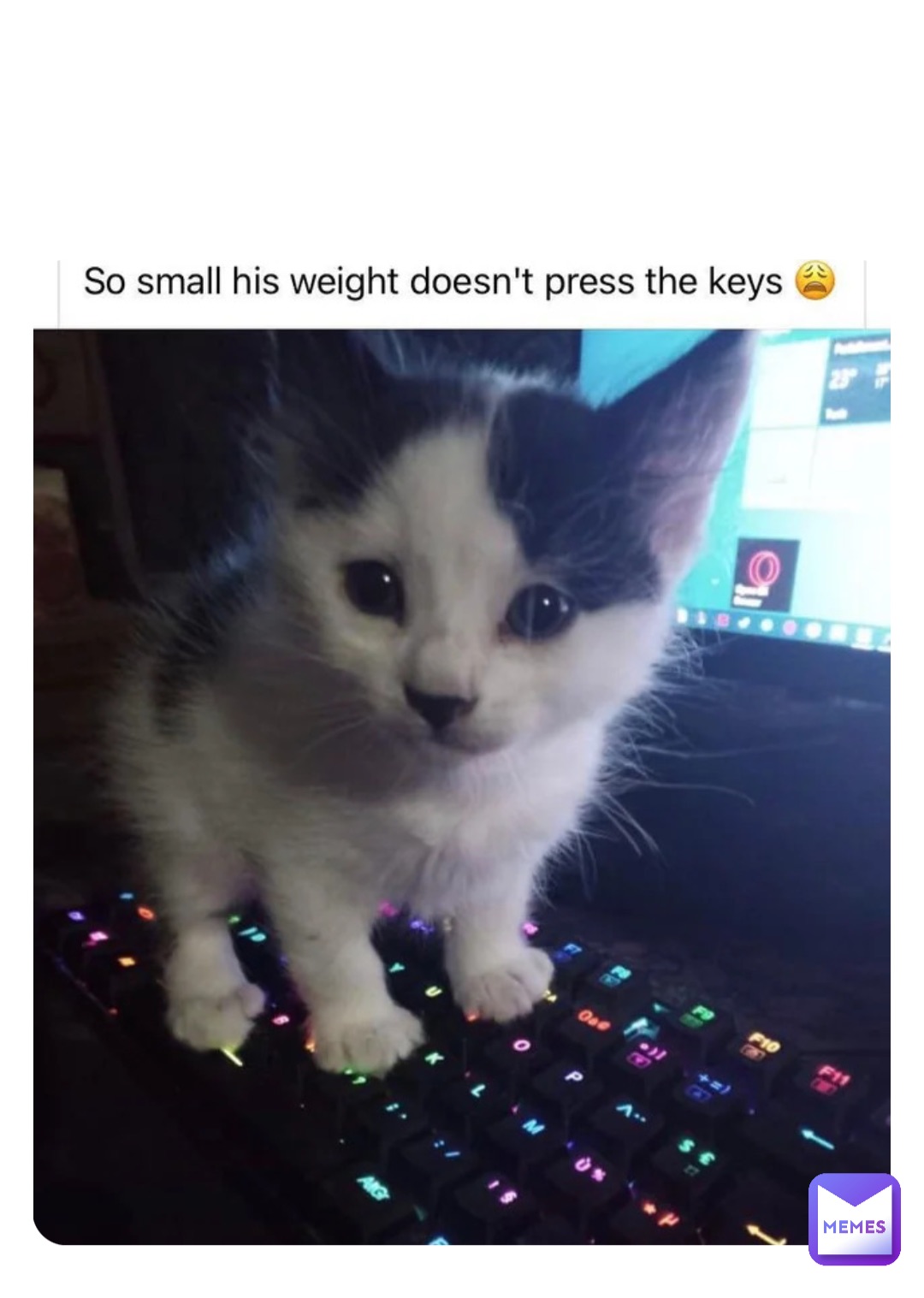 Double tap to edit