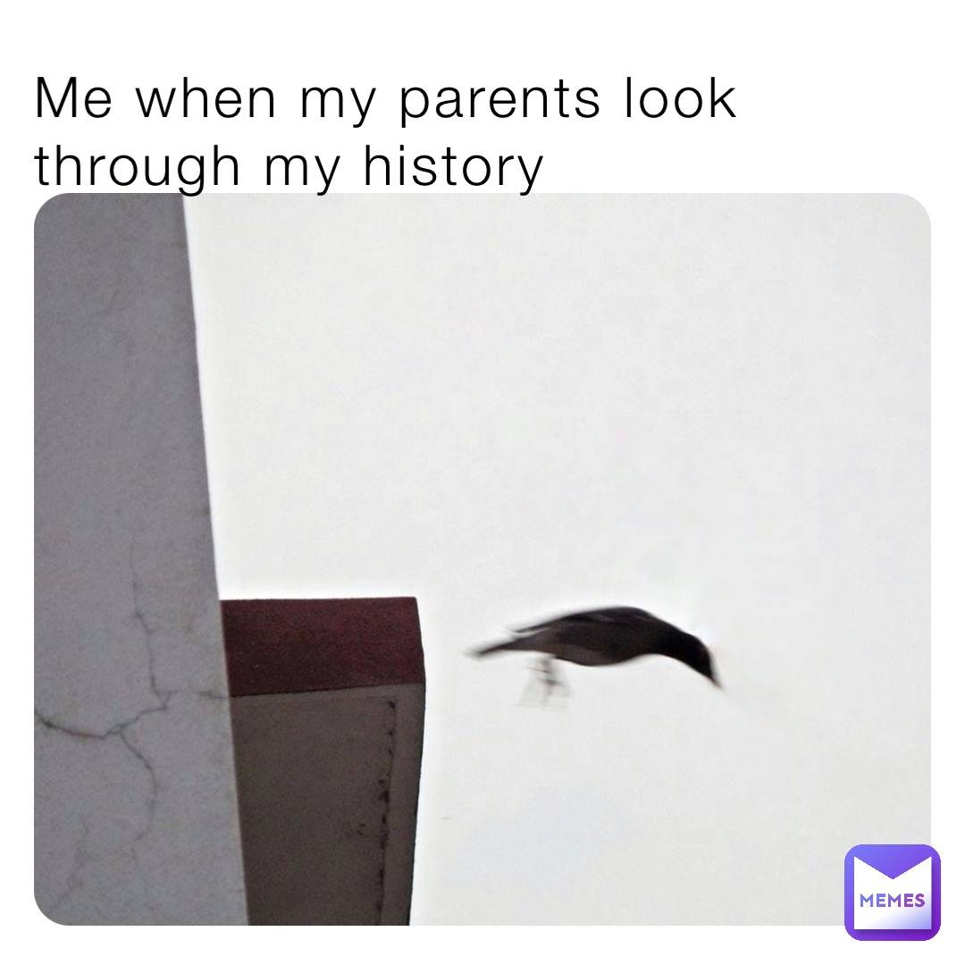 Me when my parents look through my history