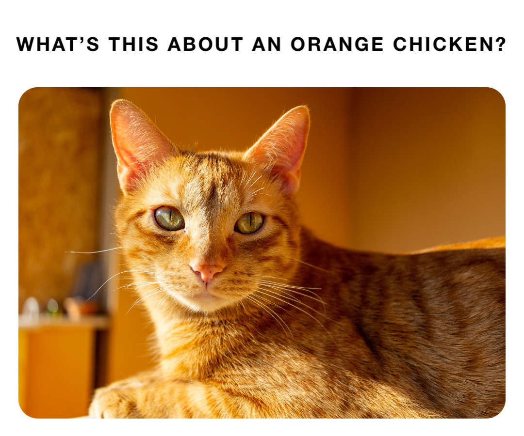 What’s this about an orange chicken?