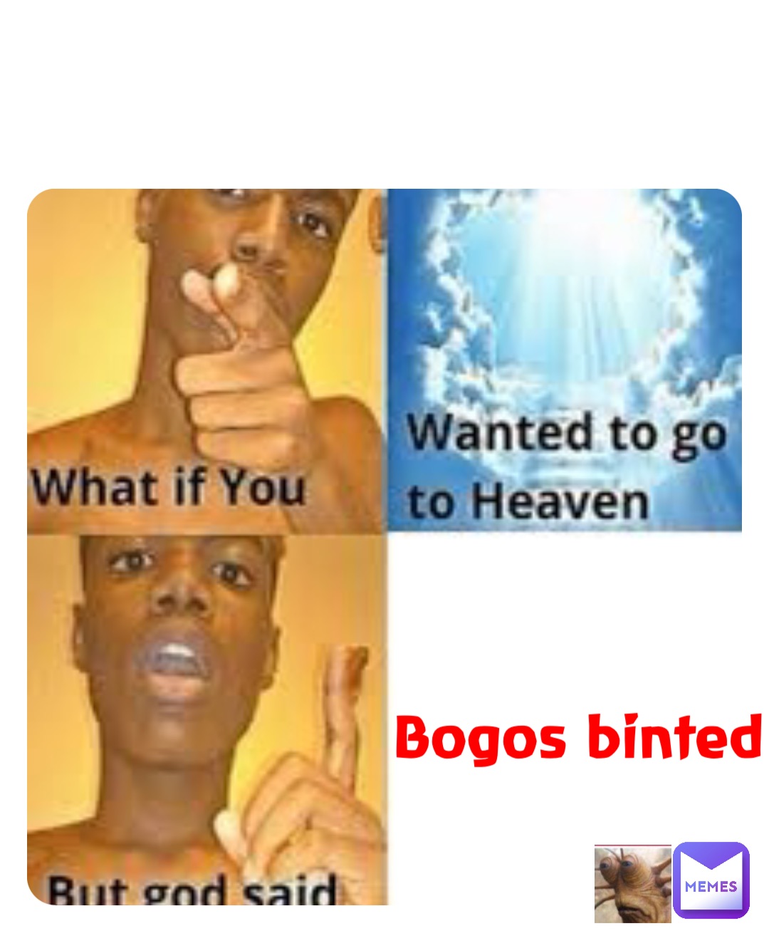 Bogos binted