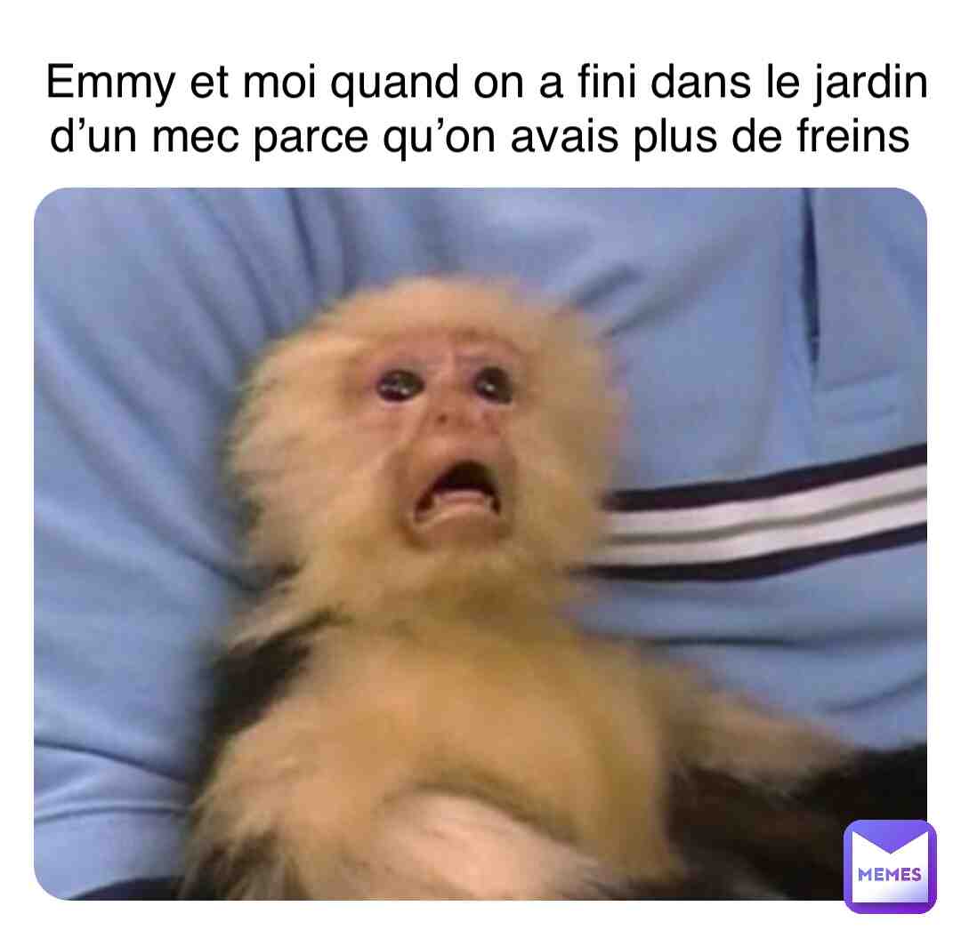 Meme shared by @varnierleaf
