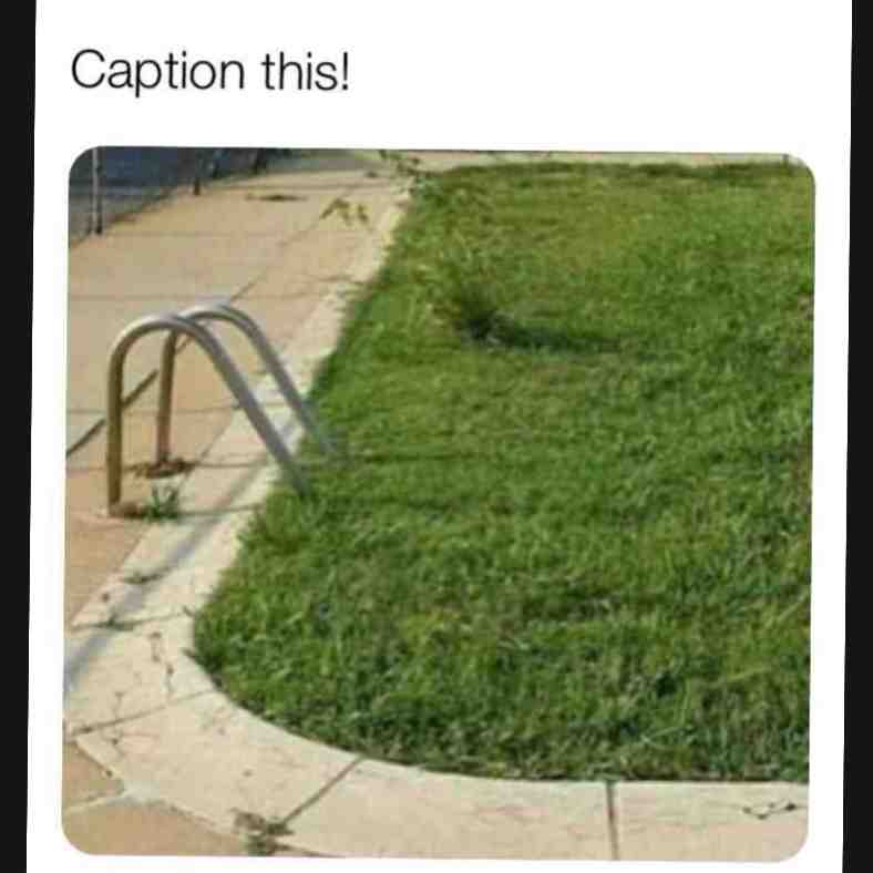 Best Caption wins good luck! #funny #captionthis
