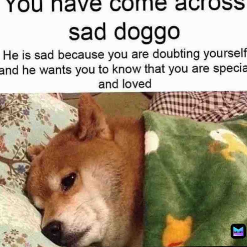 😢😔🐶 #doggo #memes #sad