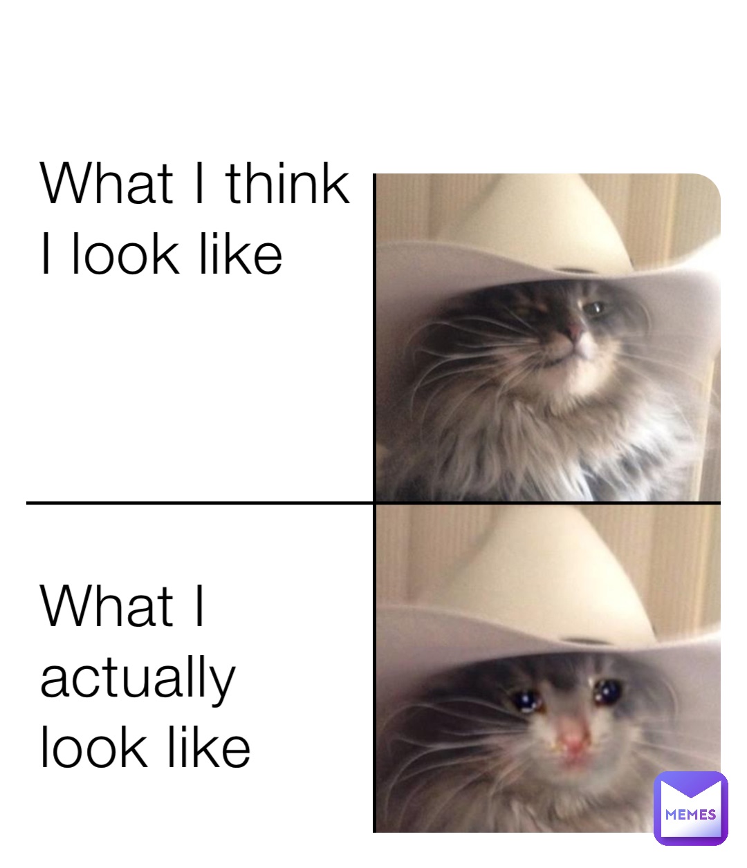 Meme by graycen-barr