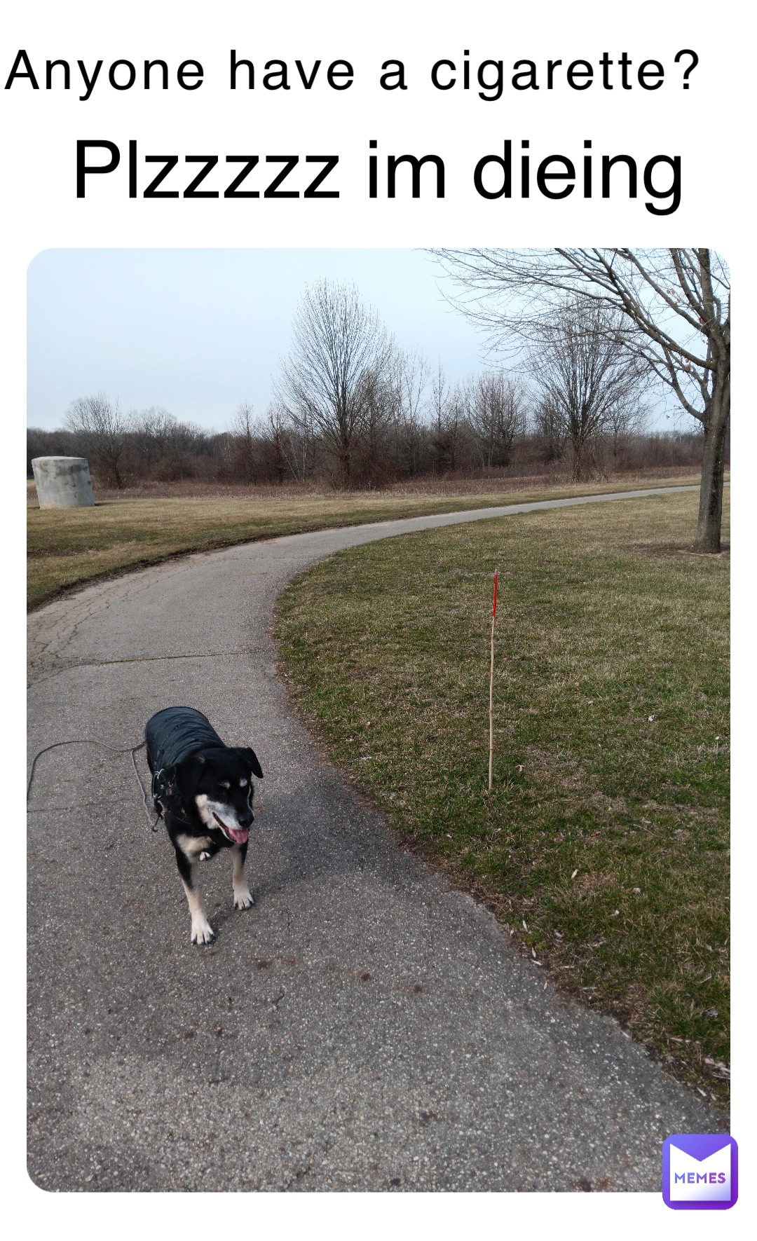 Anyone have a cigarette? Plzzzzz im dieing