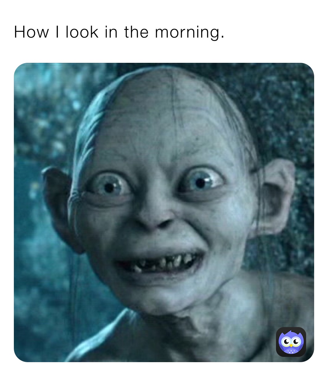 How I look in the morning.