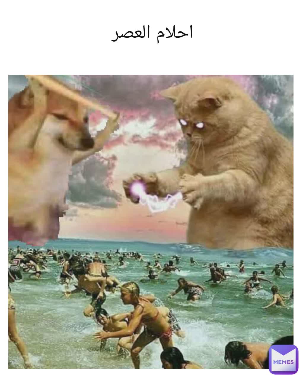 احلام العصر
