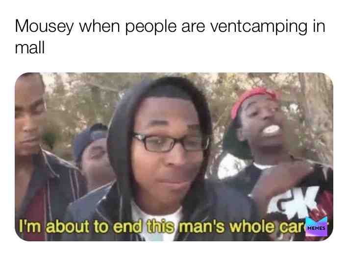 First piggy meme  #piggymemereveiw