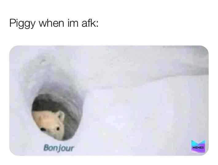 Meme shared by @meme_er27