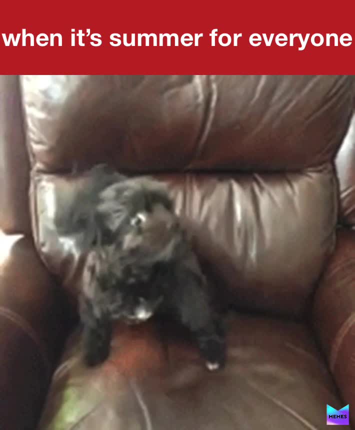 Literally everyone