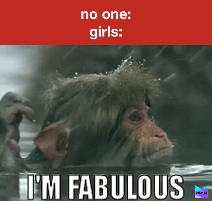 Meme shared by @meme_er27