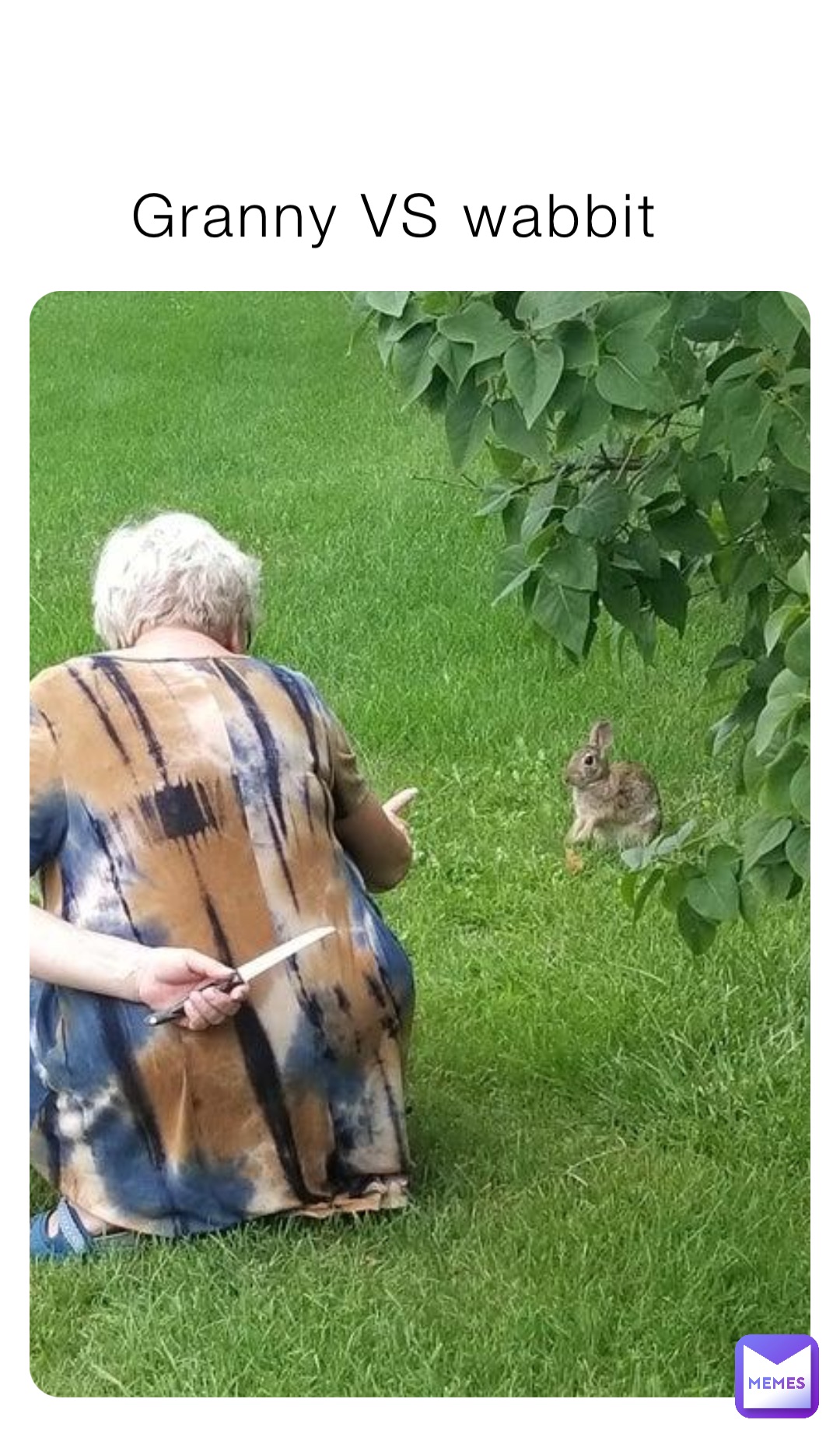 Granny VS wabbit