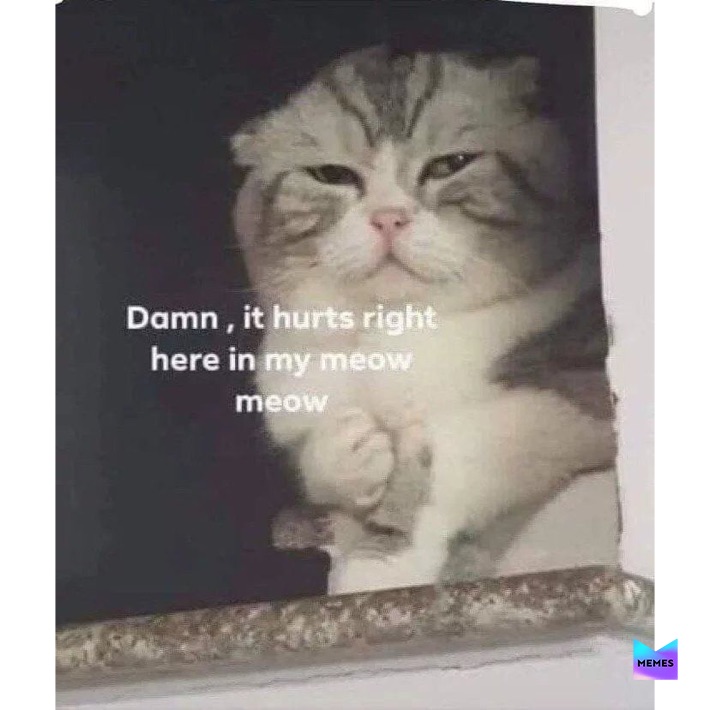 Meme by my_diamond_earring