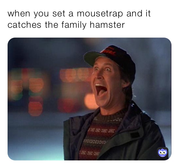 when you set a mousetrap and it catches the family hamster