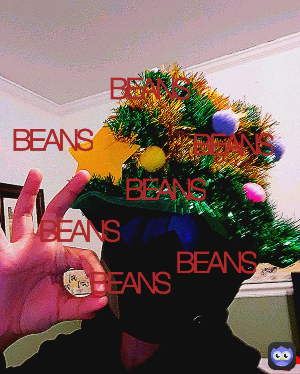 BEANS BEANS BEANS BEANS BEANS  BEANS BEANS BEANS BEANS BEANS BEANS