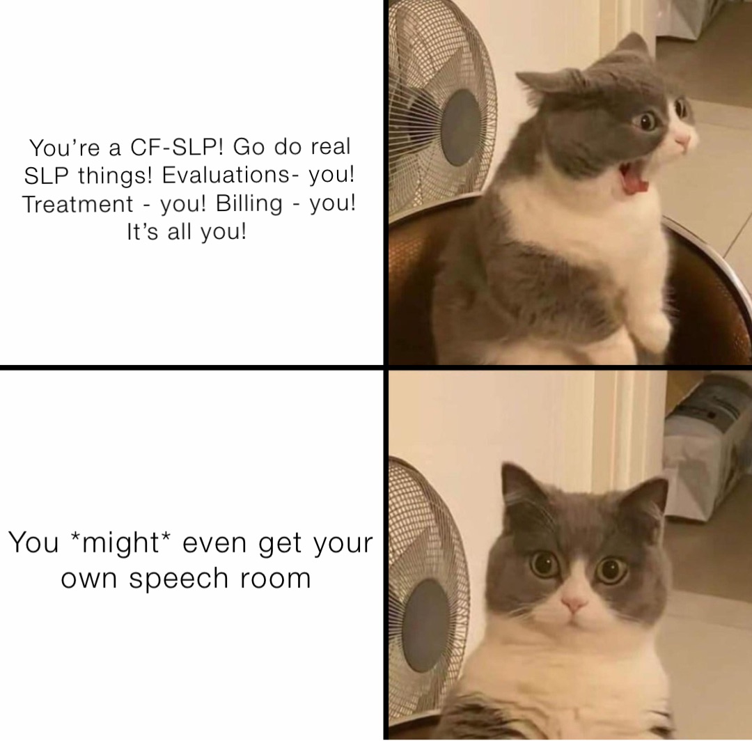 You’re a CF-SLP! Go do real SLP things! Evaluations- you! Treatment - you! Billing - you! It’s all you! You *might* even get your own speech room