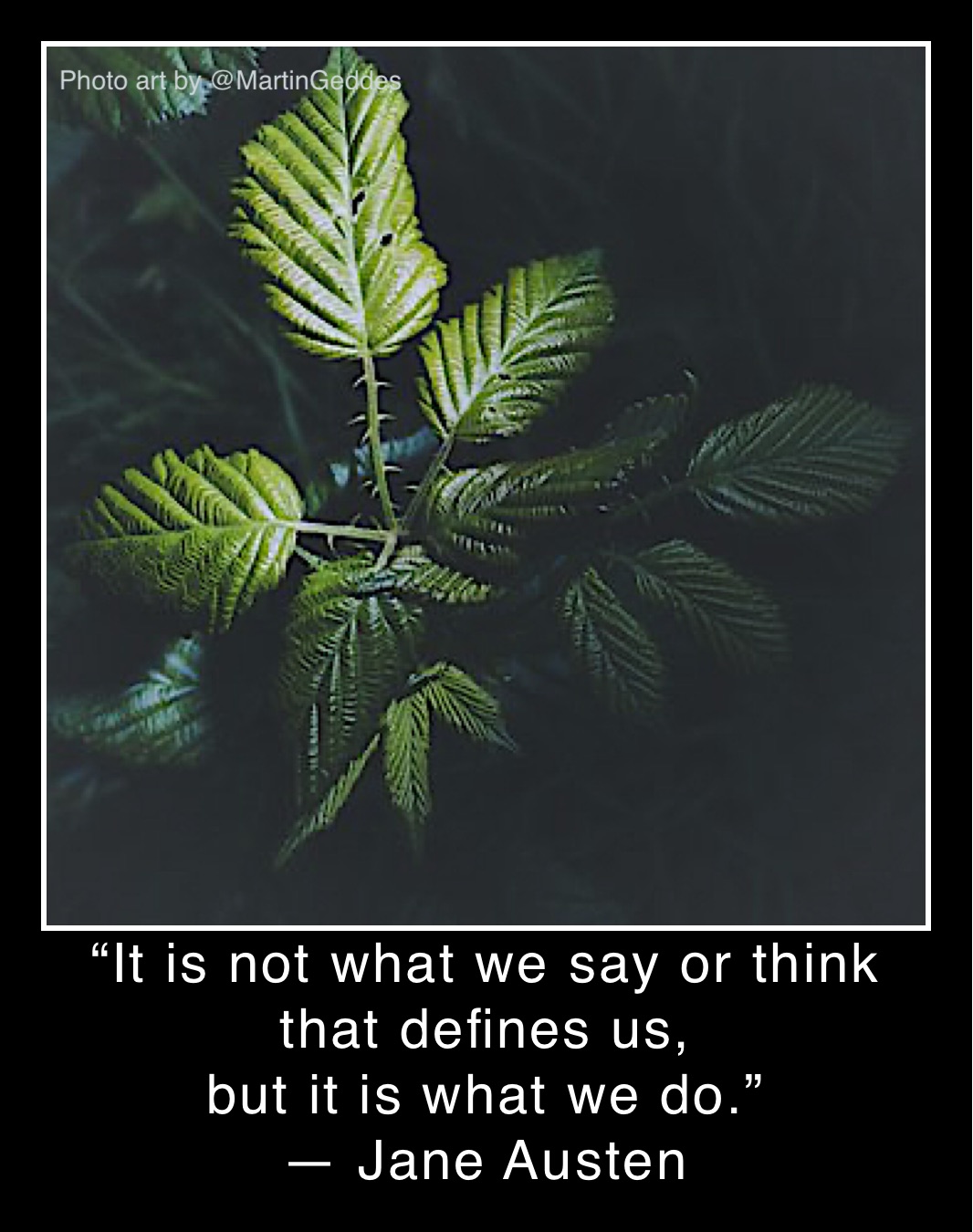 “It is not what we say or think that defines us, but it is what we do.” 
— Jane Austen  “It is not what we say or think that defines us,
but it is what we do.” 
— Jane Austen 