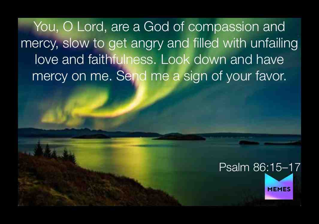 Show me a sign...  #truth  #scriptures  #wisdom