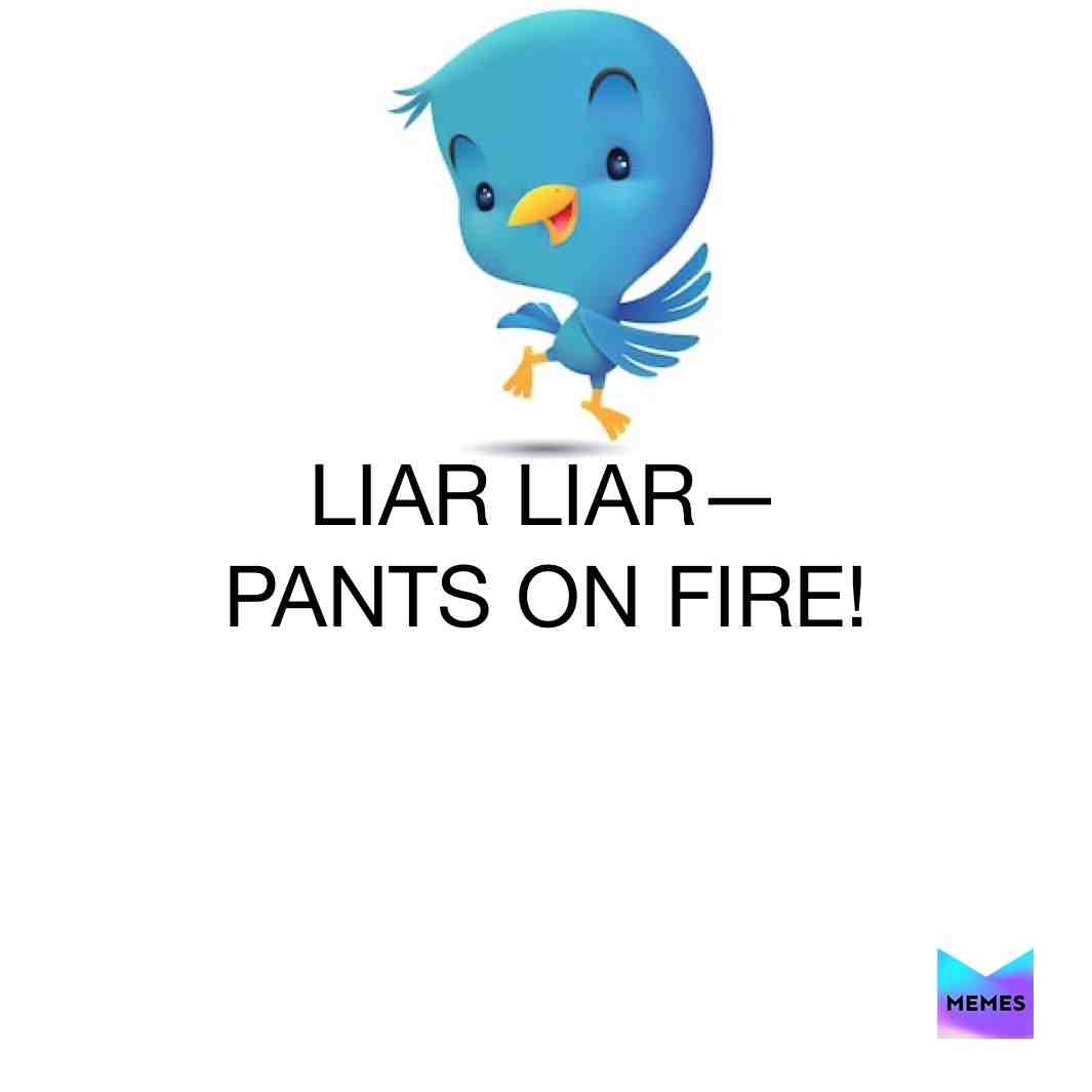 Liar Liar #lies ​ #twitter ​ #tweets