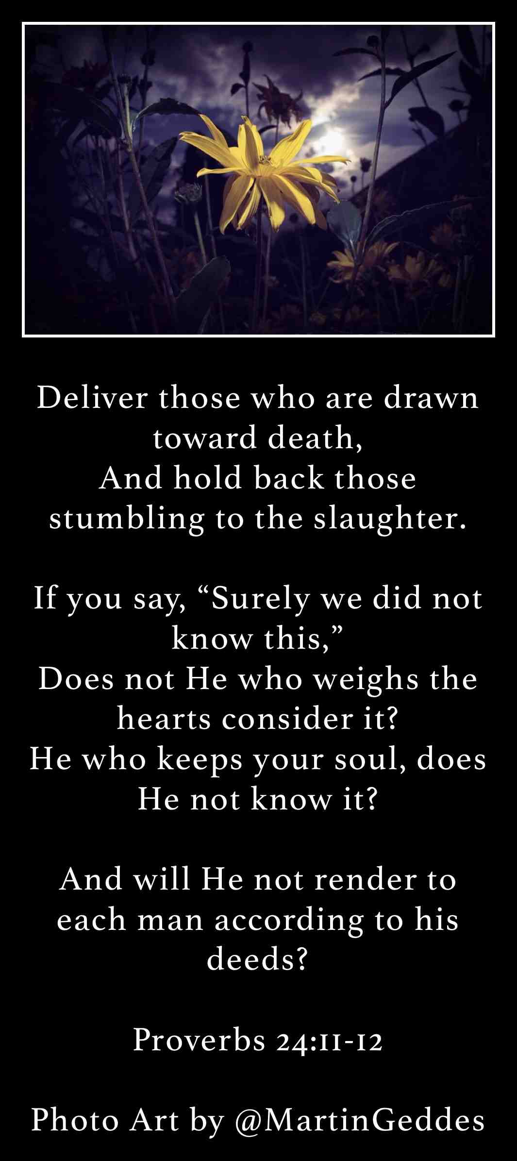 #truth  #god  #scriptures  #wisdom ​ #FamousQuotes  #bible