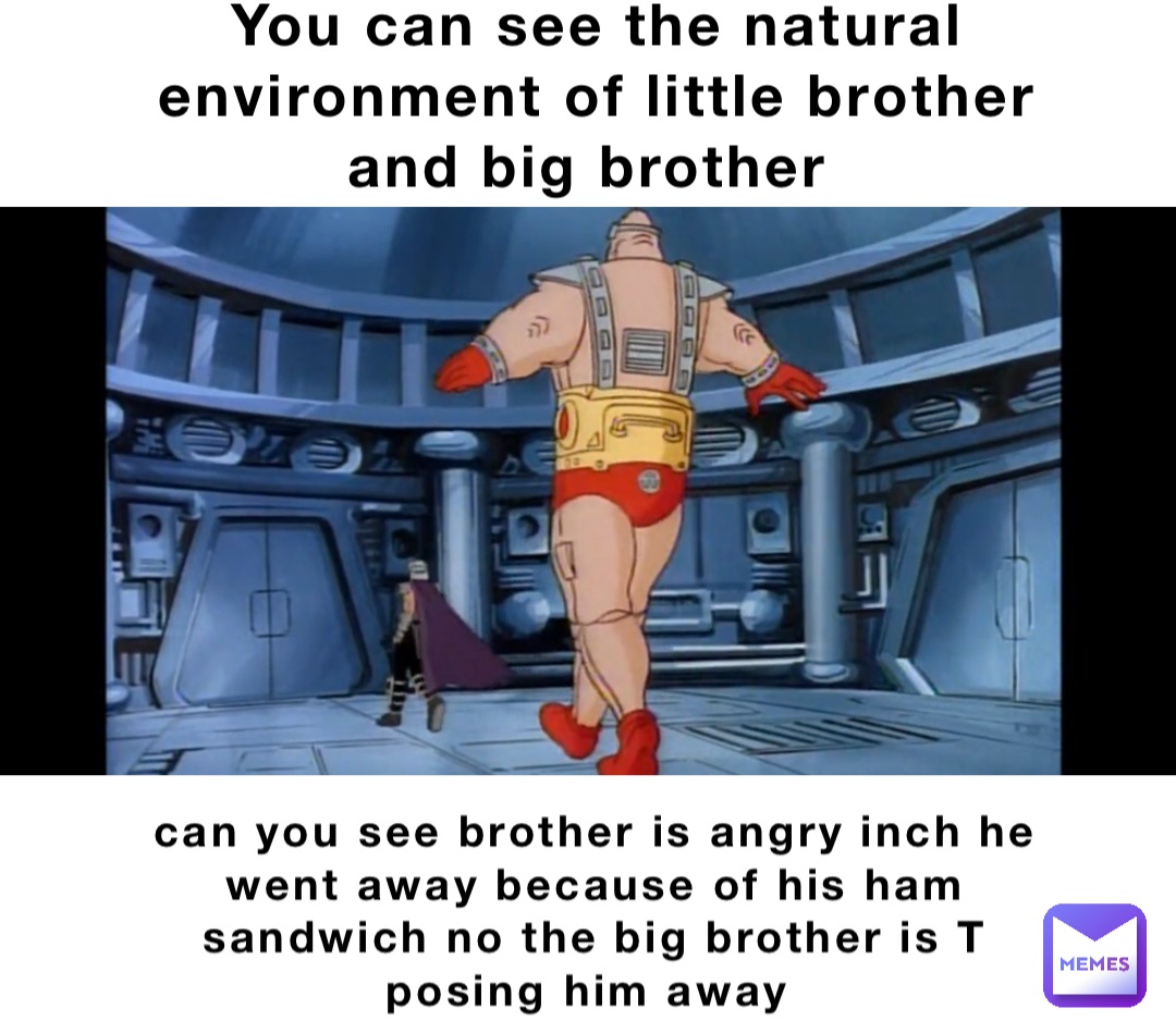 You can see the natural environment of little brother and big brother can you see brother is angry inch he went away because of his ham sandwich no the big brother is T posing him away