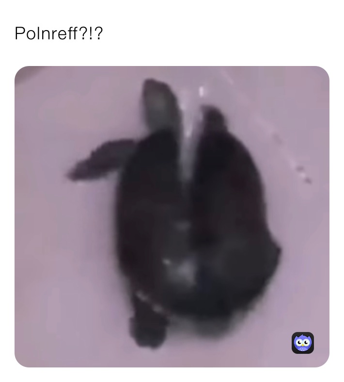 Meme by ghostboy7568