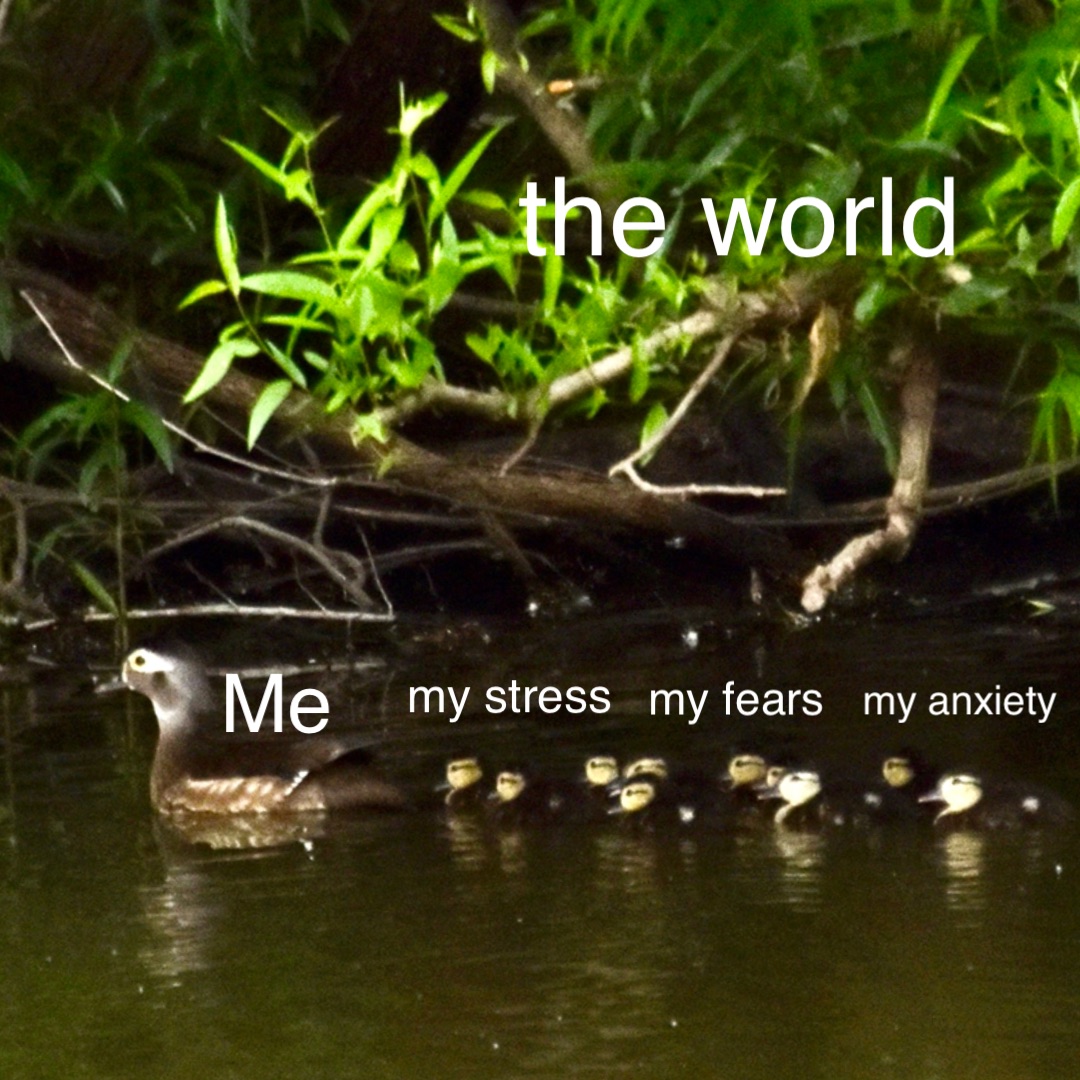 Me my stress my fears my anxiety the world