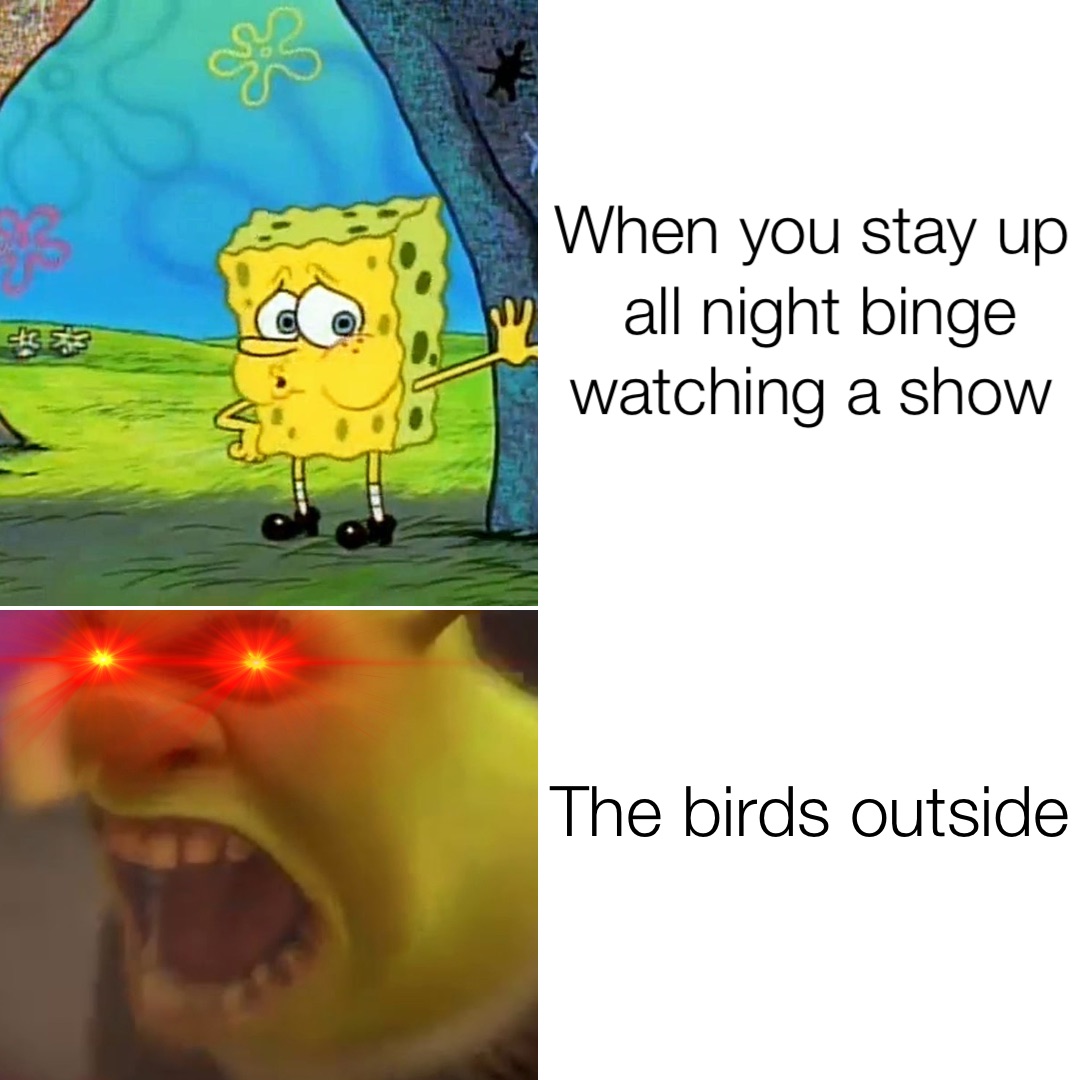 When you stay up all night binge watching a show The birds outside ...