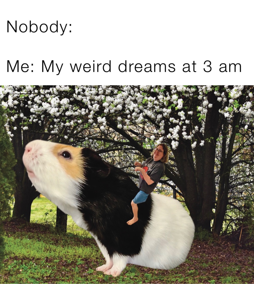 Nobody:

Me: My weird dreams at 3 am