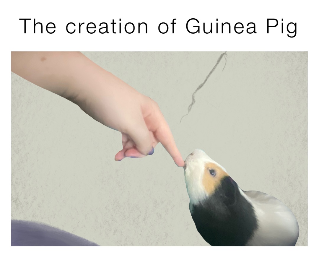 The creation of Guinea Pig