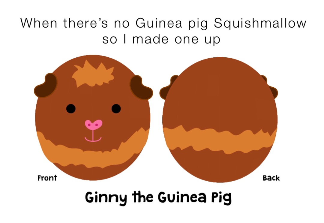 When there’s no Guinea pig Squishmallow so I made one up