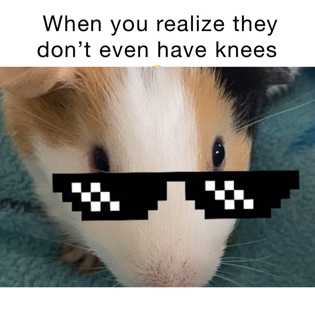 When you realize they don’t even have knees🤣