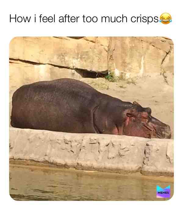 #funnymemes #thoughts #hungryeveryday #why