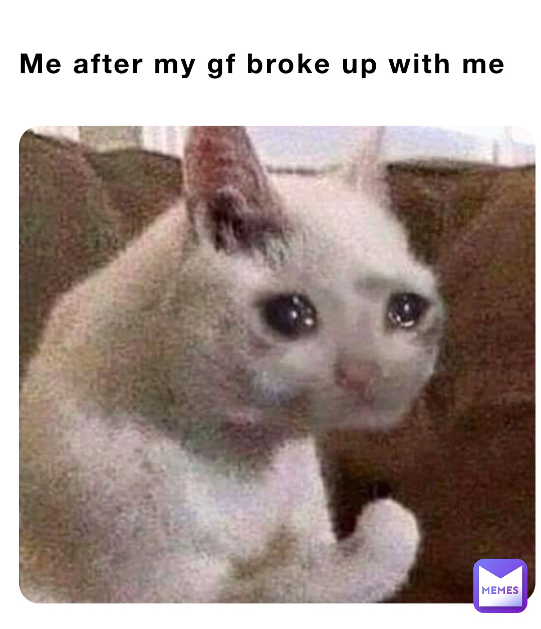 Me after my gf broke up with me | @Bozzo | Memes